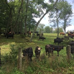 Meet your Posher, Tim